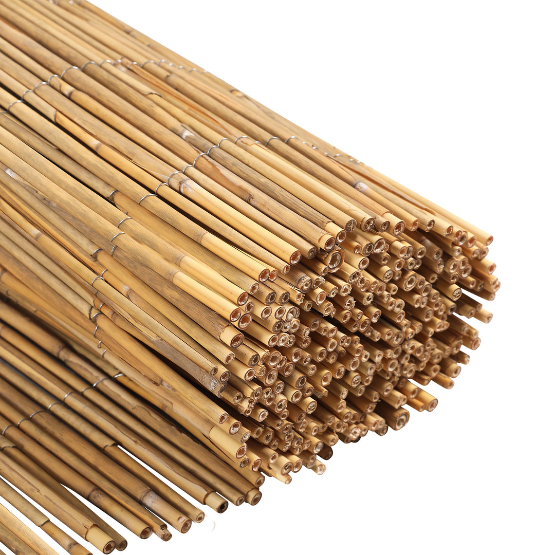 Sonnewelt Schilfrohrmatte Reedmatte Sichtschutz