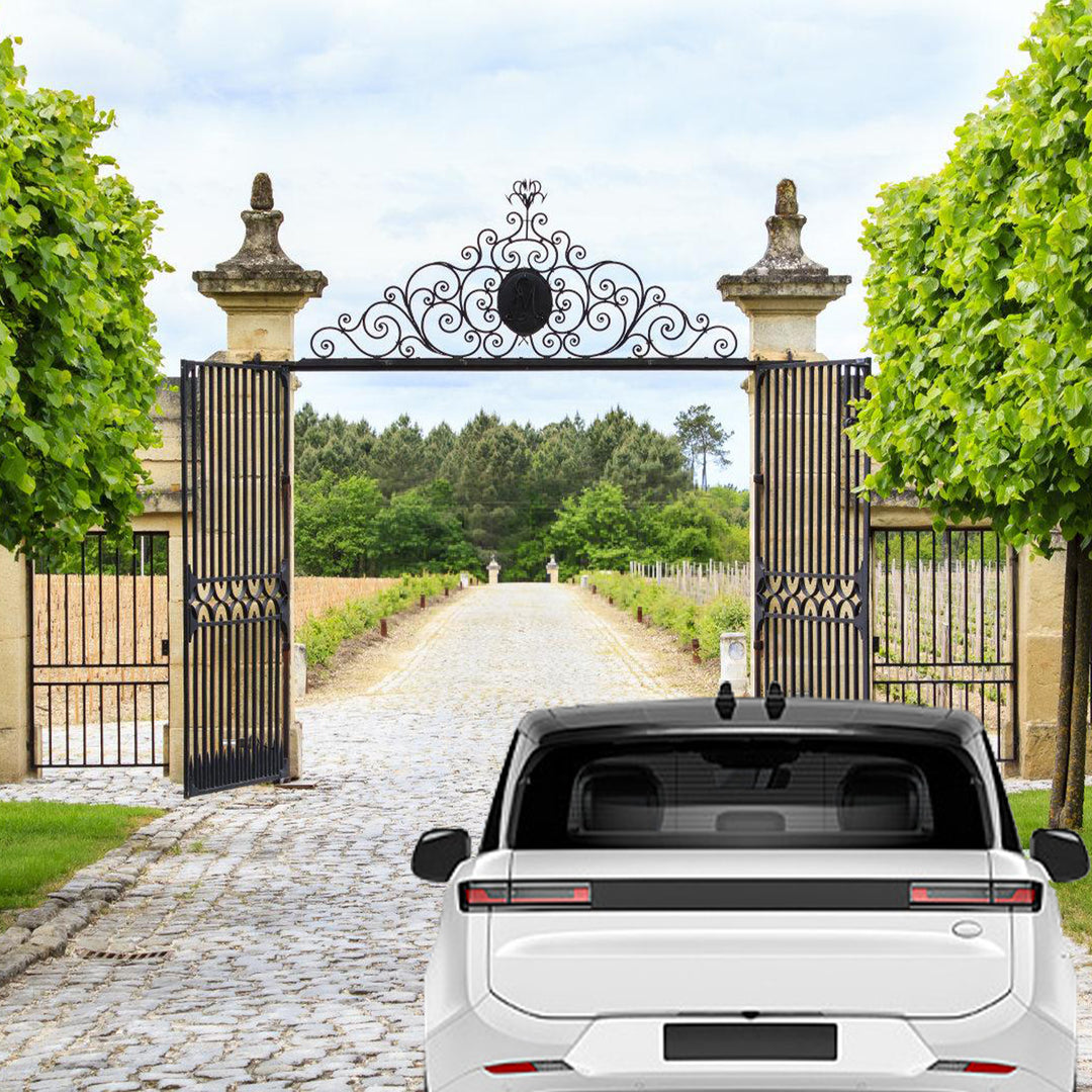 Sonnewelt Automatischer Flügeltorantrieb Doppelflügeltorantrieb 600kg