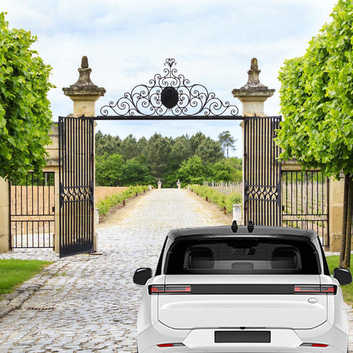 Sonnewelt Automatischer Flügeltorantrieb Doppelflügeltorantrieb 600kg