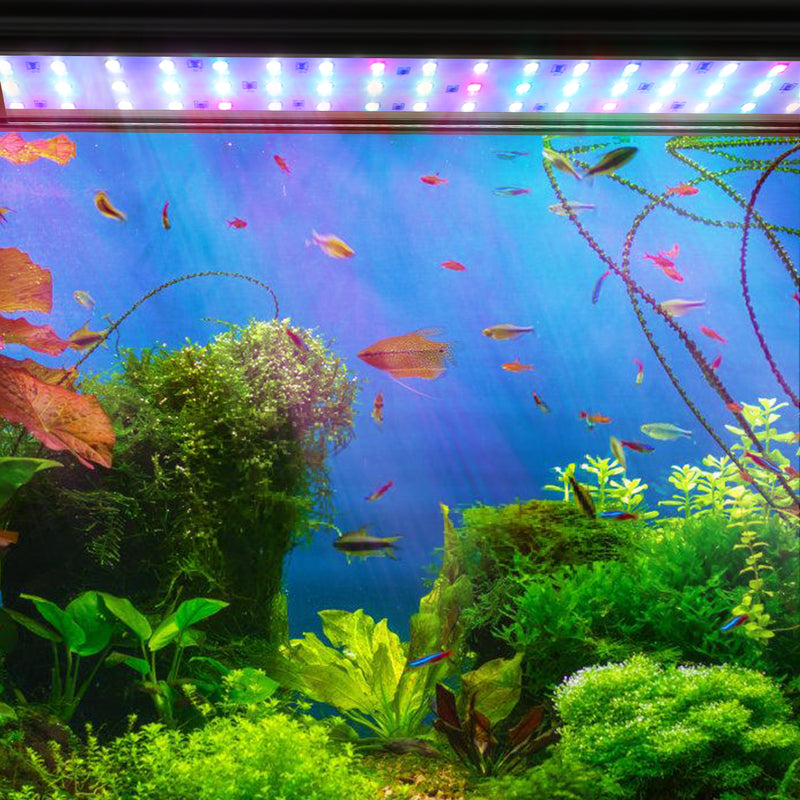 Sonnewelt LED Aquarium Beleuchtung RGB