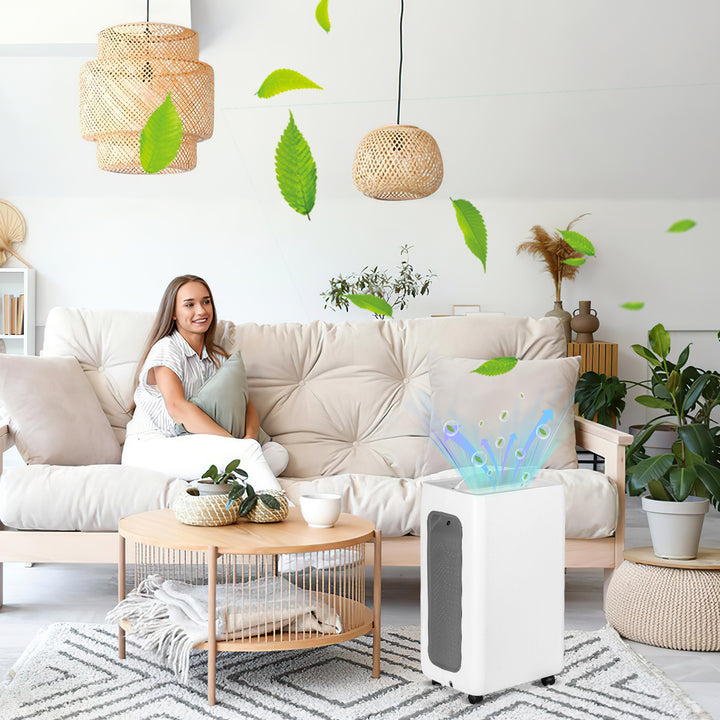 Sonnewelt dehumidifier 26L with timer function, laundry drying function, defrost function