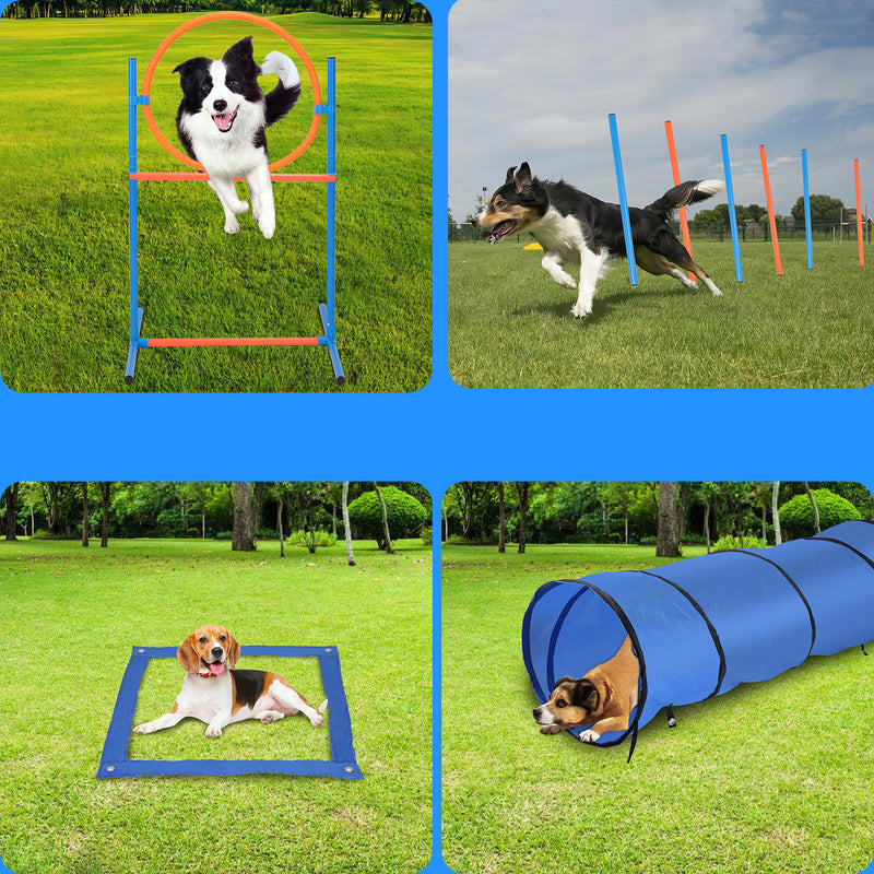 Sonnewelt Agility Set Hunde Hundetraining zubehör für Hunde