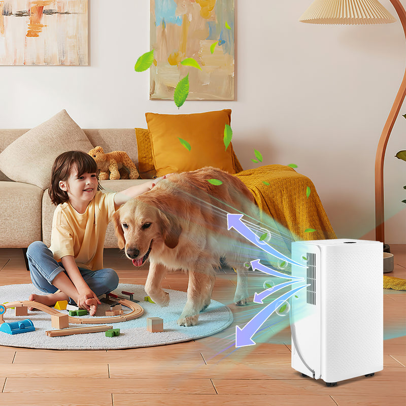 Sonnewelt Luftentfeuchter 16L mit Timerfunktion, Wäschetrockungsfunktion, Abtaufunktion