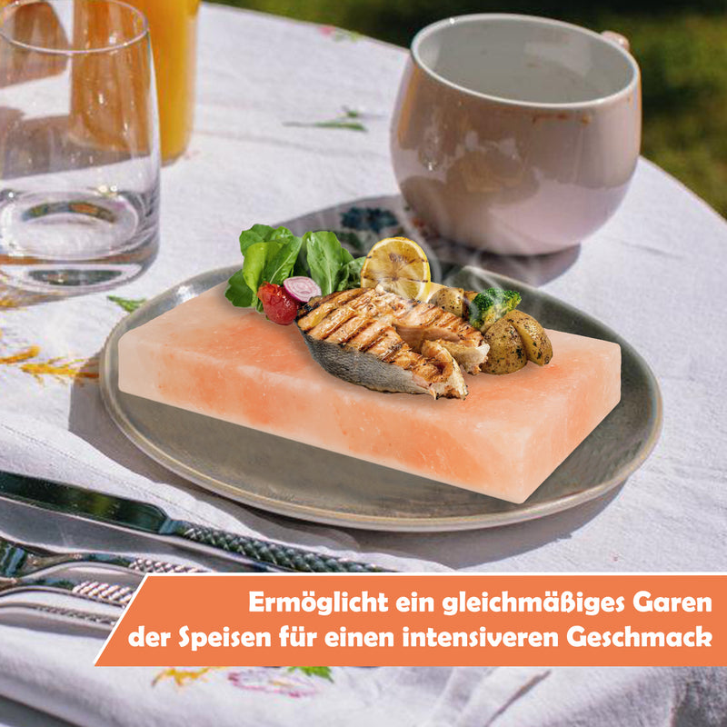 Sonnewelt Grill Salzstein BBQ 20x10x2.5CM 2er Set
