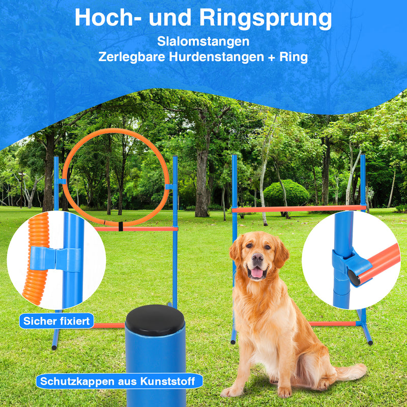 Sonnewelt Agility Set Hunde Hundetraining zubehör für Hunde