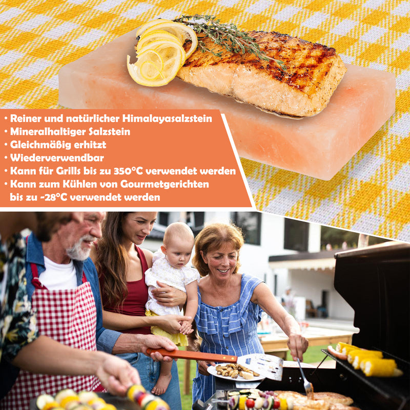 Sonnewelt Grill Salzstein BBQ 20x10x2.5CM 2er Set