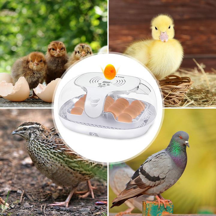 Sonnewelt Brutautomat Vollautomatisch Inkubator für Hühner 16 Eier