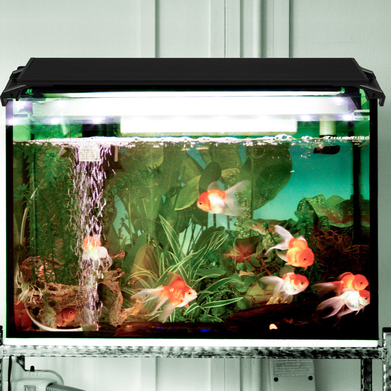 Sonnewelt LED Aquarium Lighting White Blue Light
