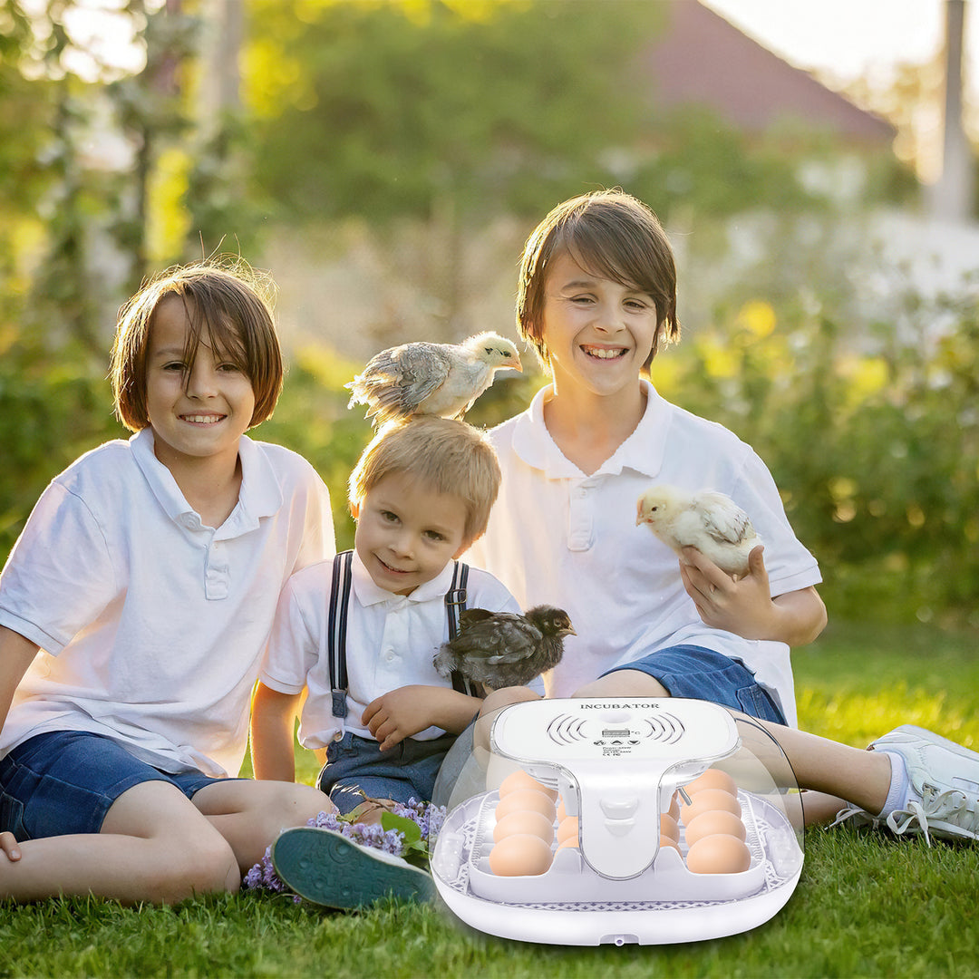 Sonnewelt Brutautomat Vollautomatisch Inkubator für Hühner 16 Eier