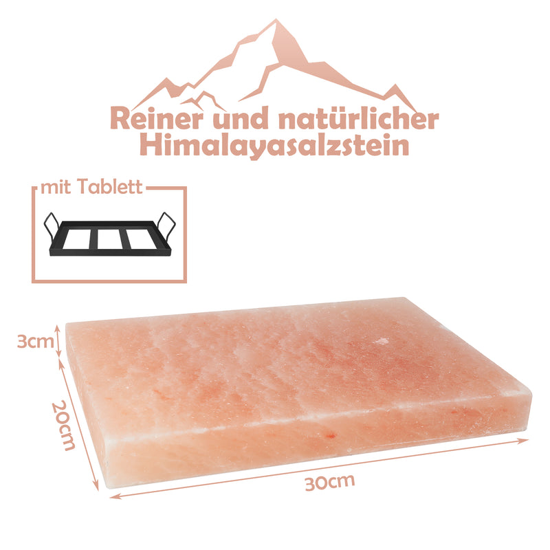 Sonnewelt Salz Grillsteine 20x30x3cm Mit Eisenplatte