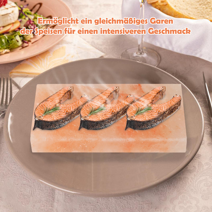 Sonnewelt Grill Salt Stone BBQ 20x10x2.5CM Set of 2