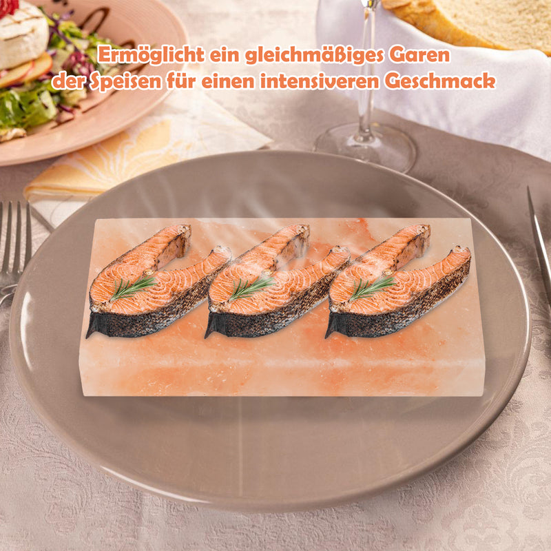 Sonnewelt Grill Salzstein BBQ 20x10x2.5CM 2er Set