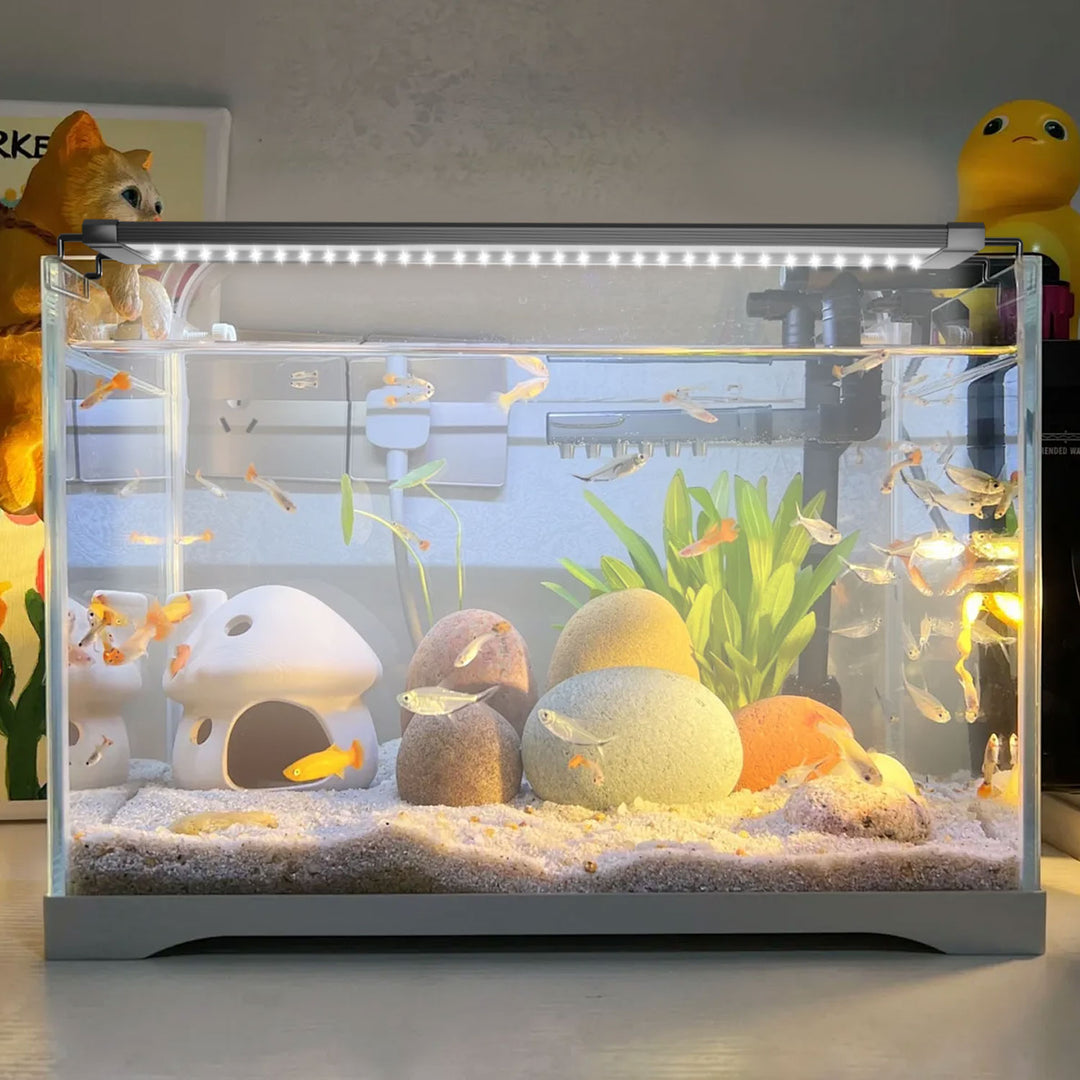 Sonnewelt LED Aquarium Lighting 24/7 Mode with Timer