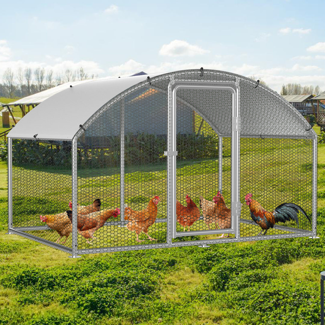 Sonnewelt Hühnerstall Freilaufgehege Kuppeldach Verzinktem Stahl 3x2x2m