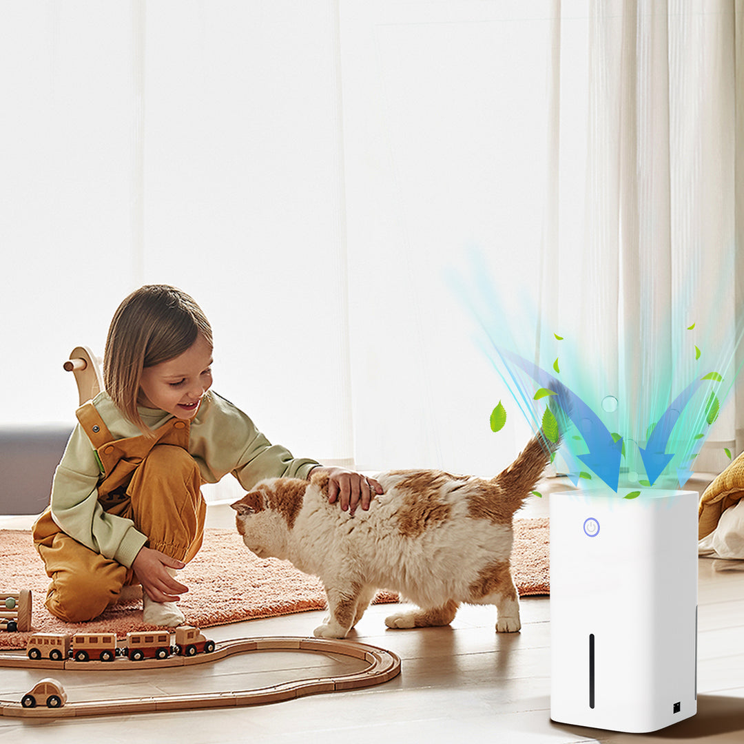 Sonnewelt Luftentfeuchter Mini Entfeuchter Tragbarer 850ml