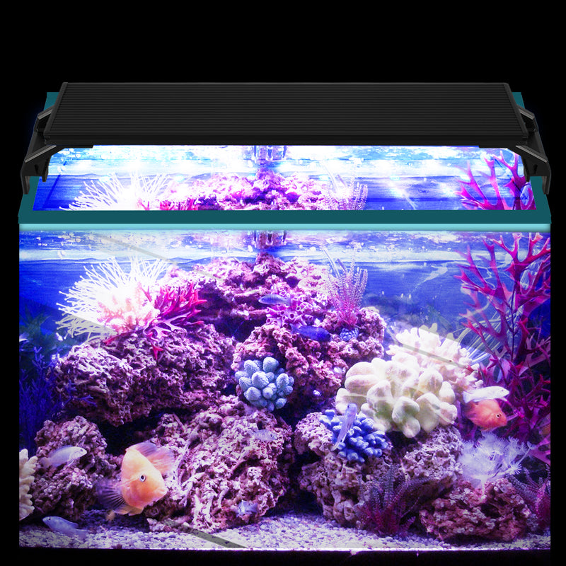 Sonnewelt LED Aquarium Lighting White Blue Light