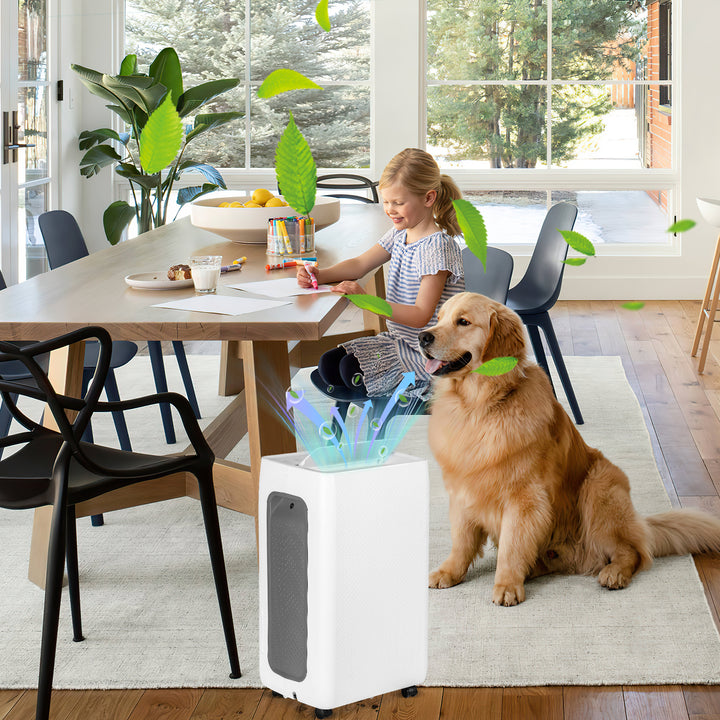 Sonnewelt dehumidifier 26L with timer function, laundry drying function, defrost function