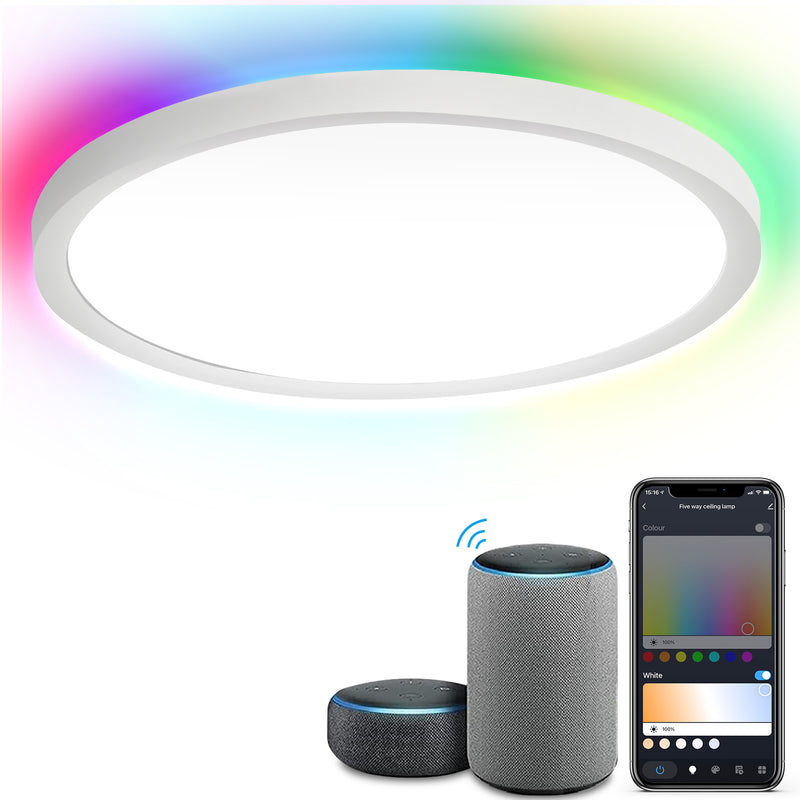 Sonnewelt 24W LED Deckenlampe Dimmbar RGB Alexa