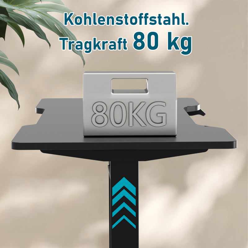 Sonnewelt Schreibtisch Höhenverstellbar Elektrisch Computertisch