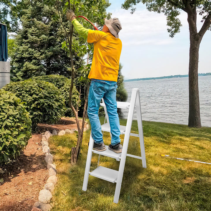 Sonnewelt Ladder Foldable Lightweight Aluminum 2/3/4 Steps