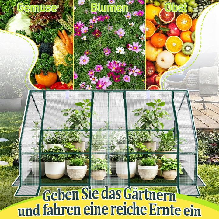 Sonnewelt Gewächshaus Tomatengewächshaus Treibhaus