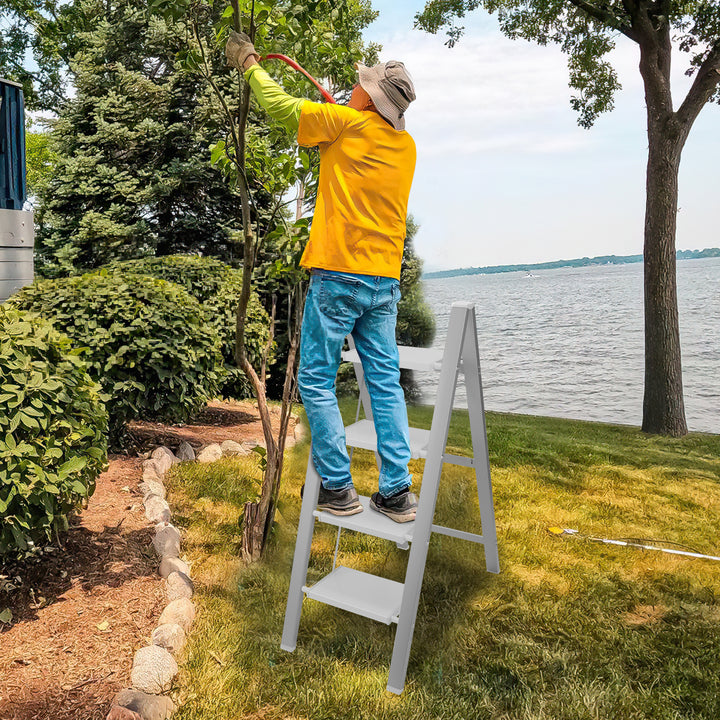 Sonnewelt Ladder Foldable Lightweight Aluminum 2/3/4 Steps