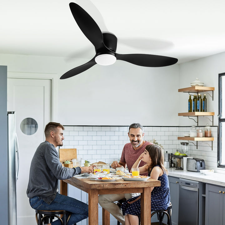 Sonnewelt Deckenventilator Lüfter LED Deckenlampe 40W