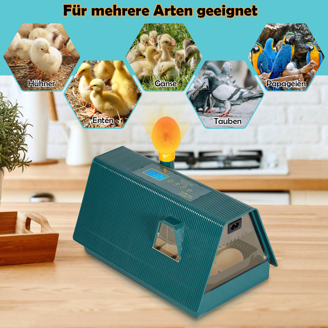 Sonnewelt Incubator automatic for 10 chicken eggs