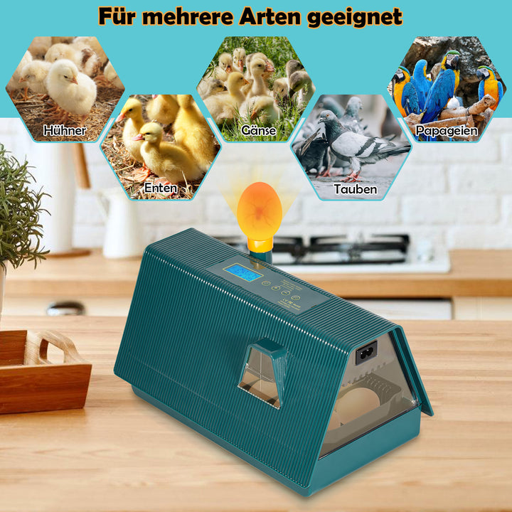Sonnewelt Incubator automatic for 10 chicken eggs