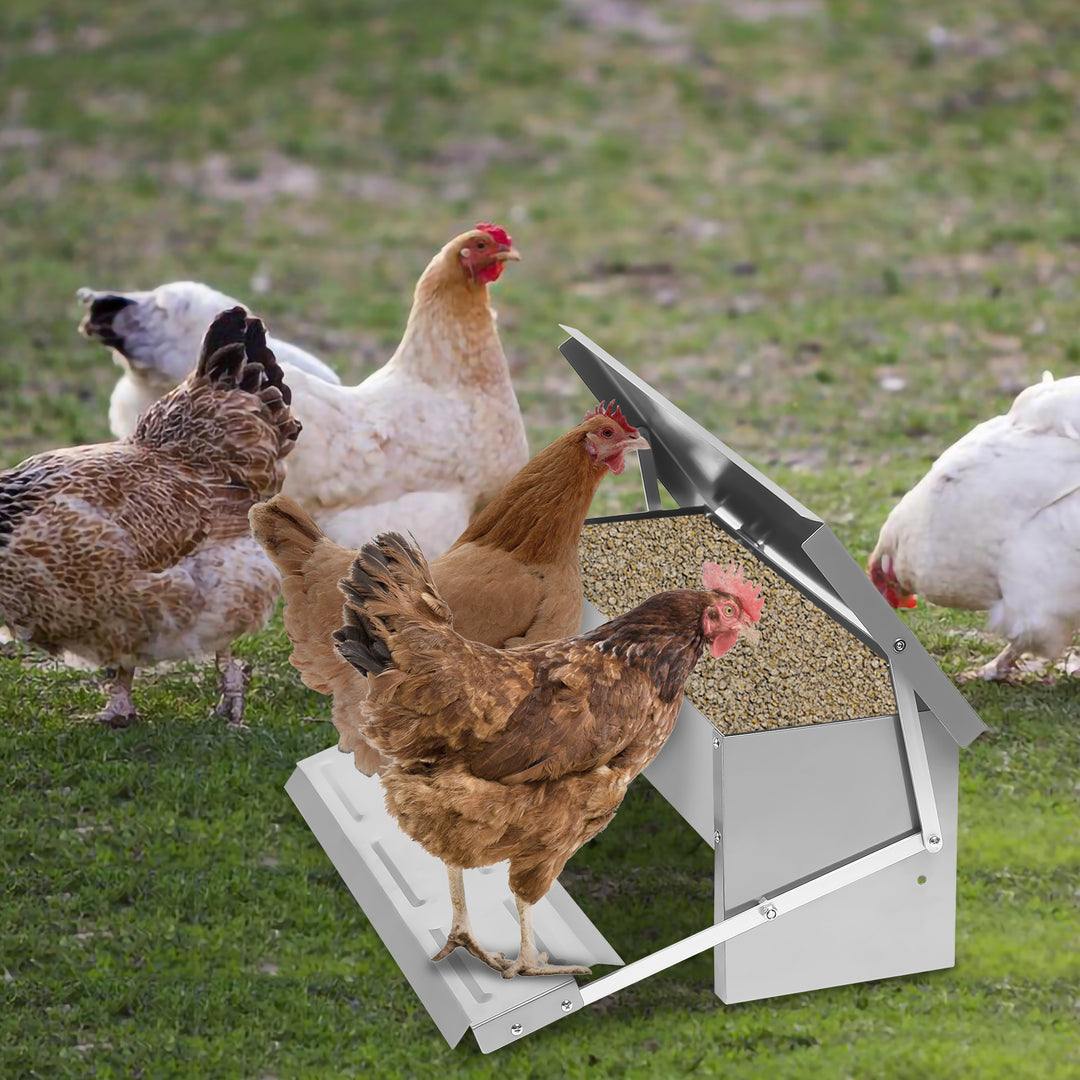Sonnewelt automatic feeder chicken feeder 5kg