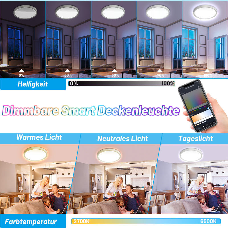Sonnewelt 24W LED Deckenlampe Dimmbar RGB Alexa