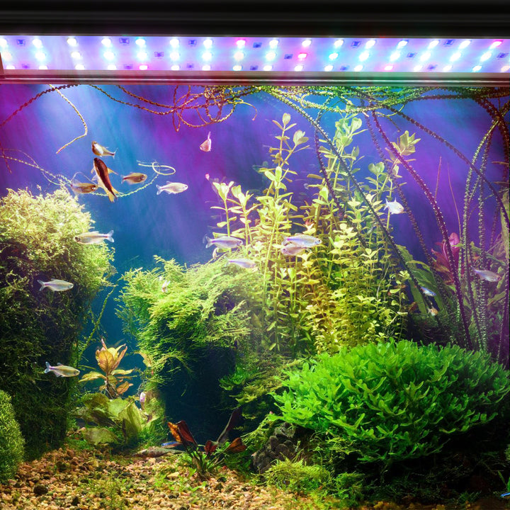 Sonnewelt LED Aquarium Beleuchtung RGB