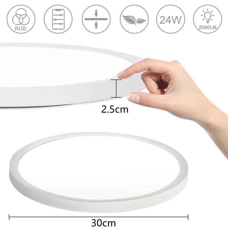 Sonnewelt 24W LED Deckenlampe Dimmbar RGB Alexa