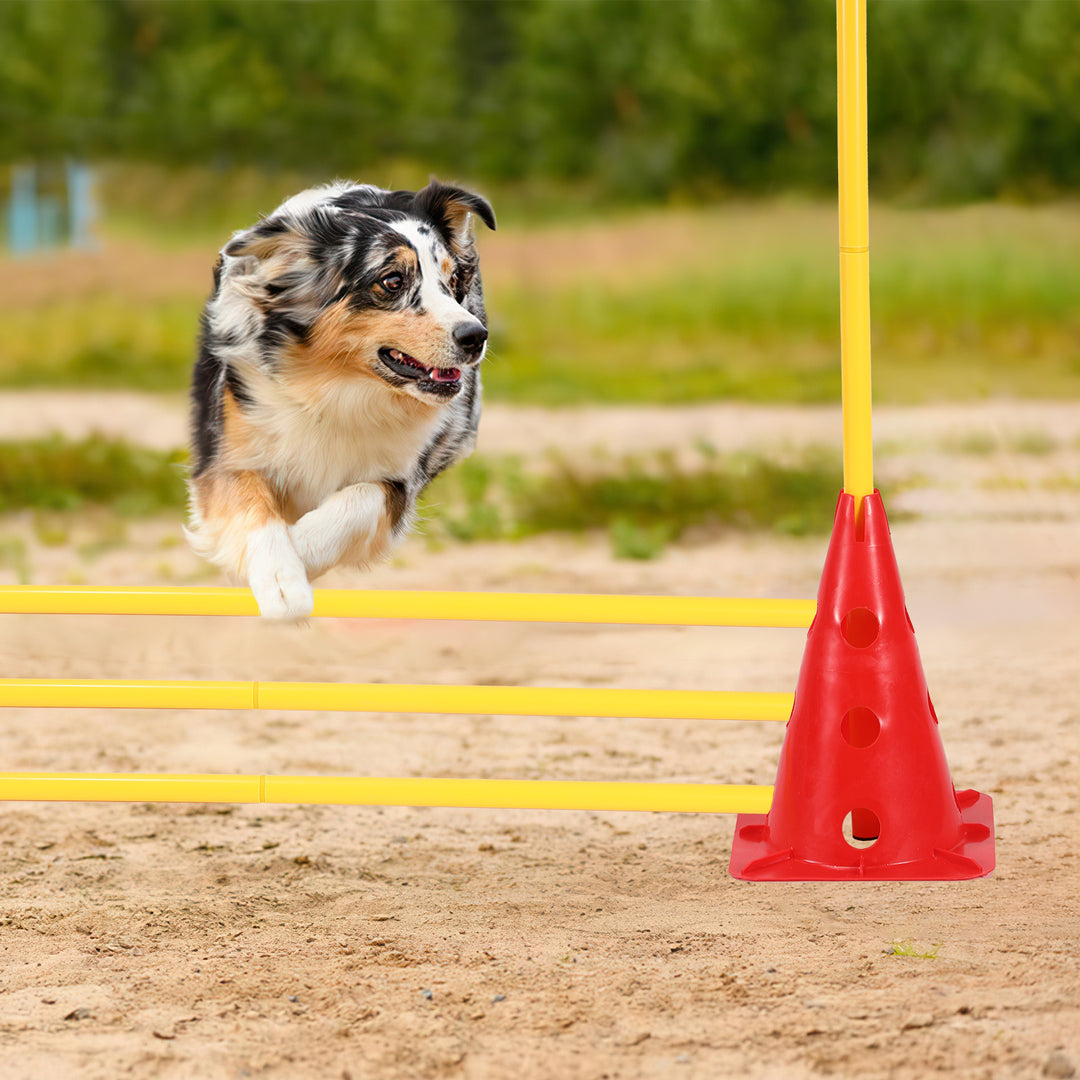 Sonnewelt 6er Steckhürdenset Agility Trainingsgerät