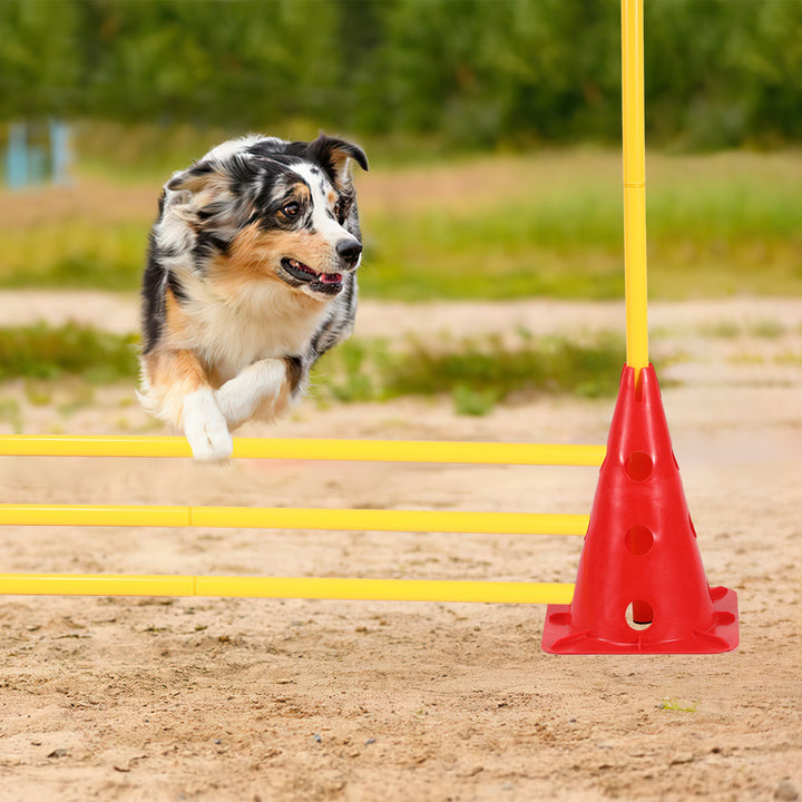 Sonnewelt 6er Steckhürdenset Agility Trainingsgerät