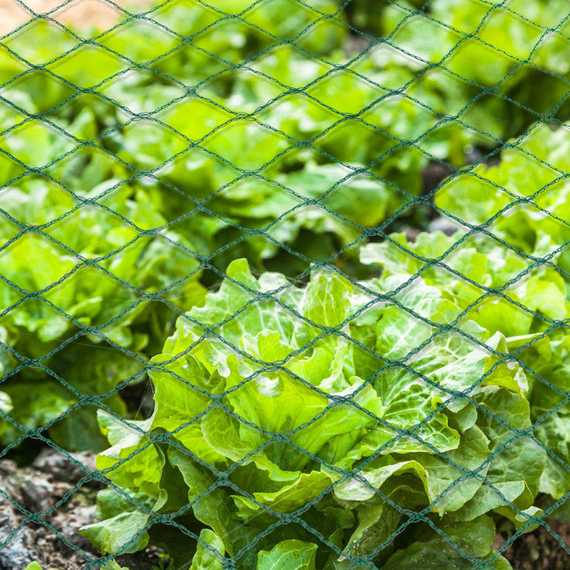 Sonnewelt Teichnetz Vogel Reihernetz