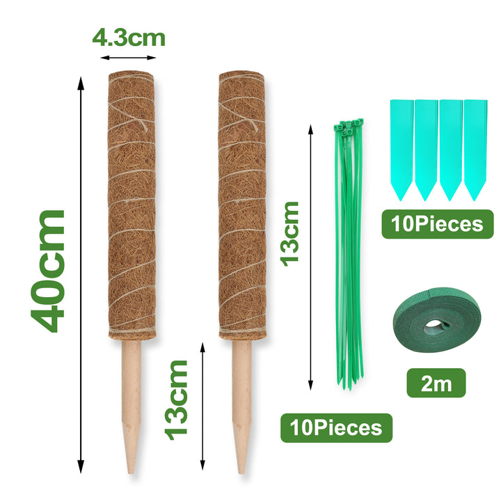 Sonnewelt Plant Stick Coconut Monstera 2 Pieces
