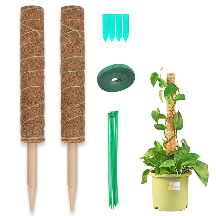 Sonnewelt Plant Stick Coconut Monstera 2 Pieces