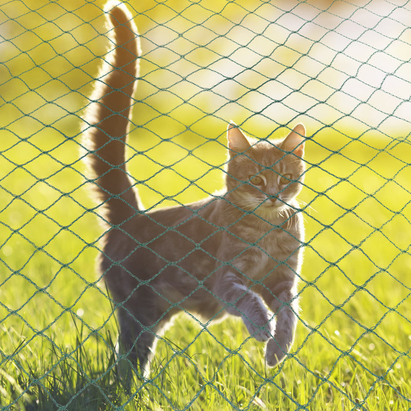 Sonnewelt Teichnetz Vogel Reihernetz
