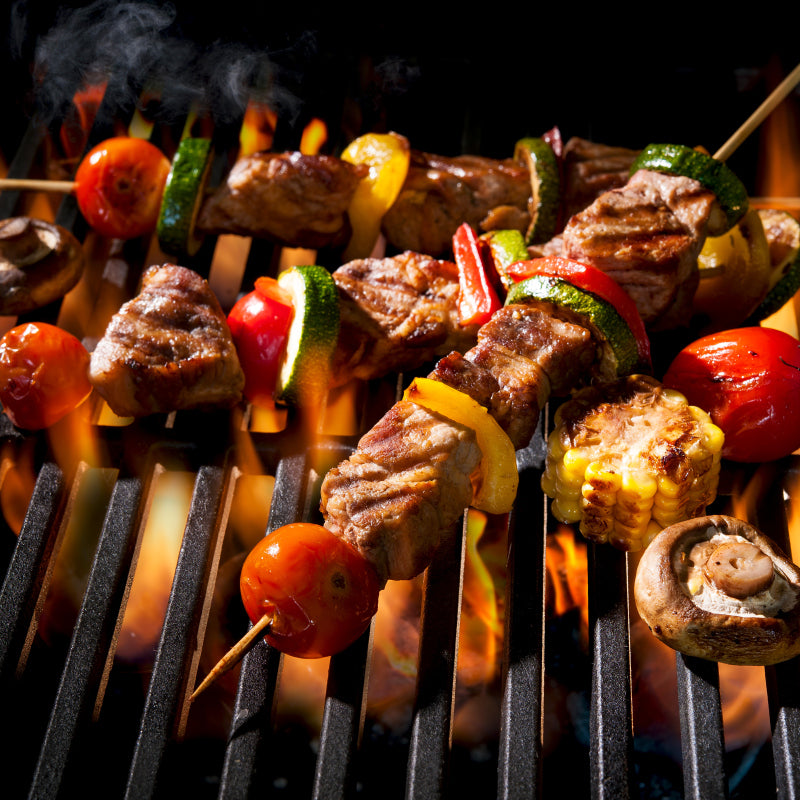 Sonnewelt Grill Grate Cast Iron Enameled Grill Grid