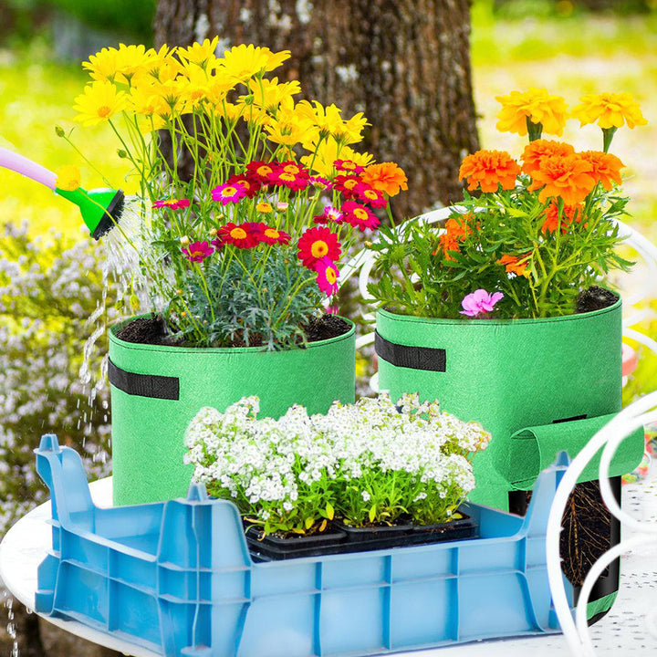 Sonnewelt Pflanzsack Pflanztasche 5 Stück