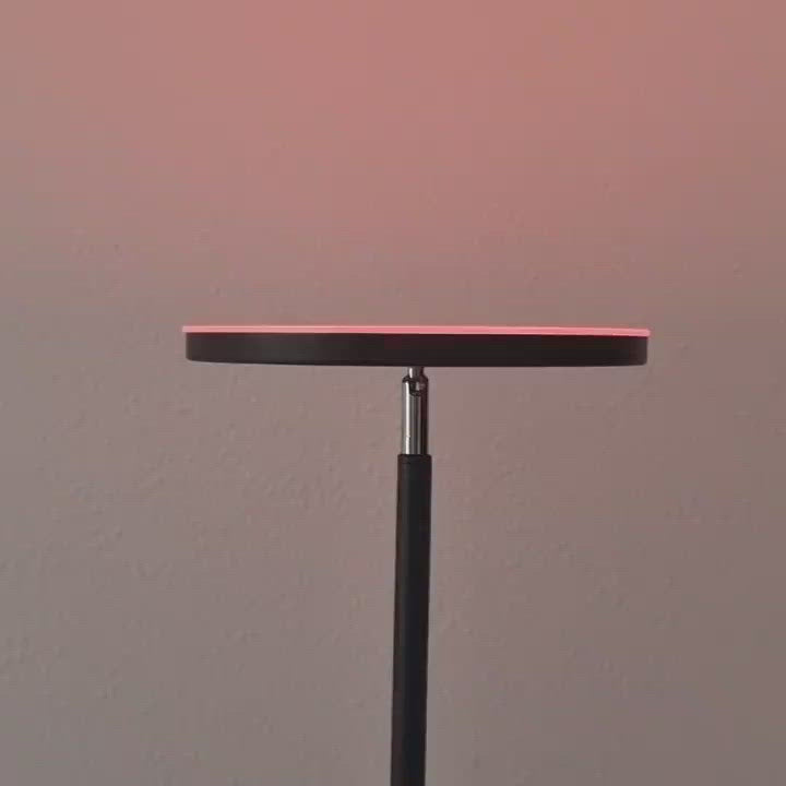 Sonnewelt Stehlampe LED Dimmbar RGB 24W