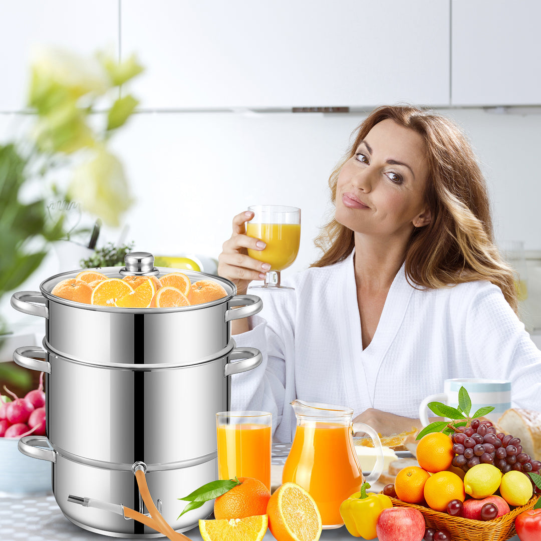 Sonnewelt Dampfentsafter 8L Edelstahl Fruchtentsafter