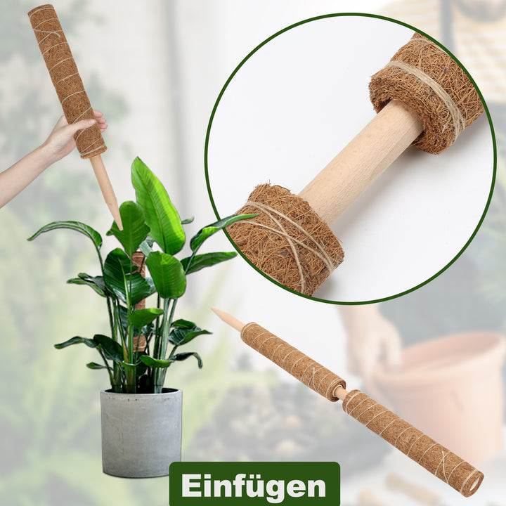 Sonnewelt Plant Stick Coconut Monstera 2 Pieces