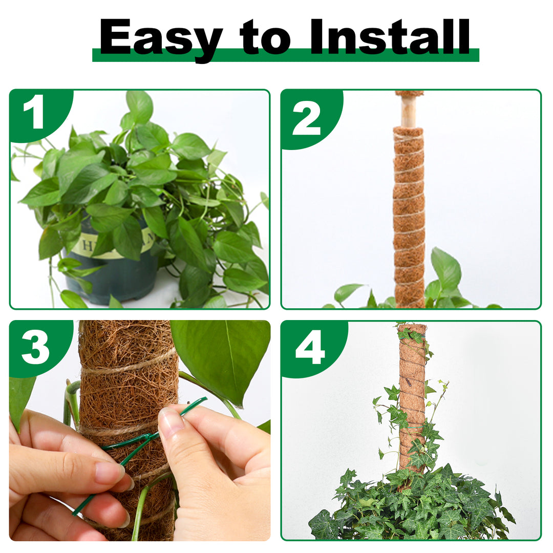 Sonnewelt Plant Stick Coconut Monstera 2 Pieces