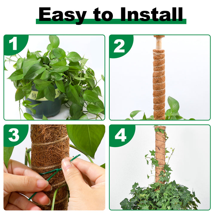 Sonnewelt Plant Stick Coconut Monstera 2 Pieces