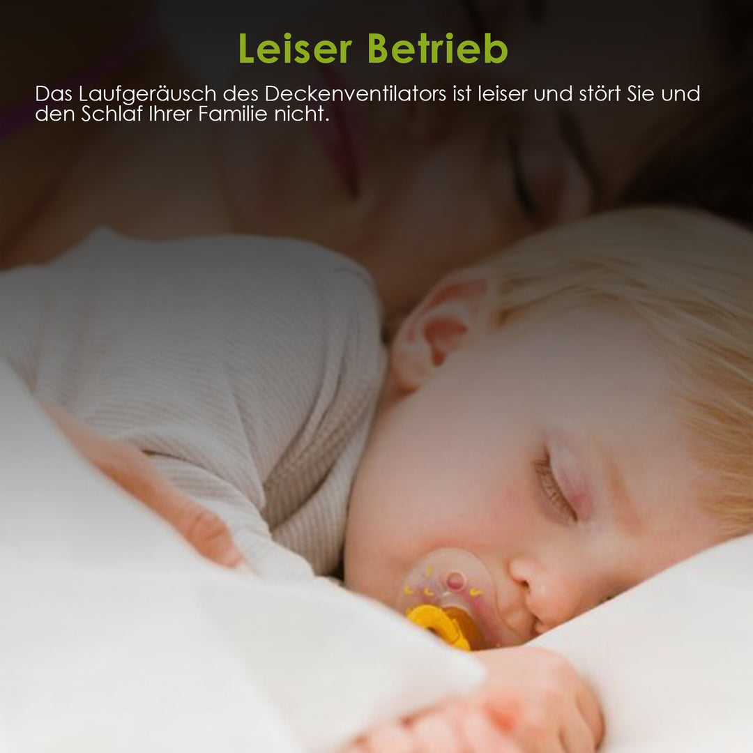 Sonnewelt Deckenventilator mit Beleuchtung 80W
