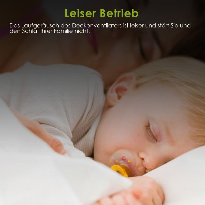 Sonnewelt Deckenventilator mit Beleuchtung 80W